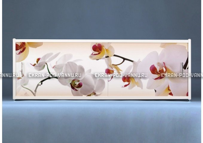 Раздвижной ФОТО экран - Orchid – купить по цене 8500 руб. в интернет-магазине в городе Ярославль картинка 1