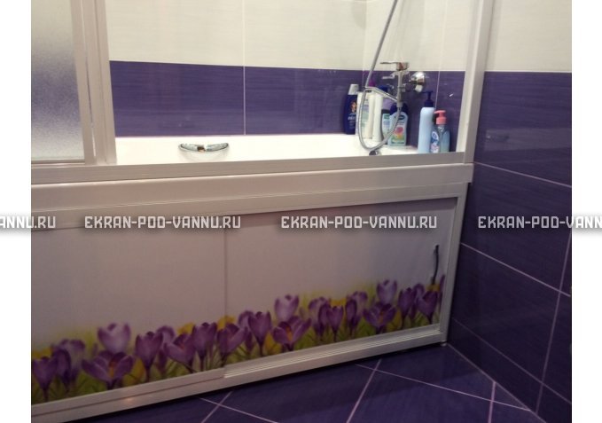 Экран на роликах EUROPLEX  Ирисы – купить по цене 12400 руб. в интернет-магазине в городе Ярославль картинка 3