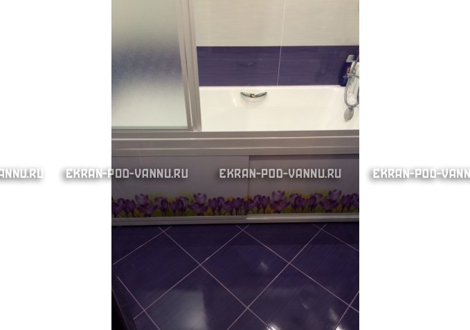 Экран на роликах EUROPLEX  Ирисы – купить по цене 12400 руб. в интернет-магазине в городе Ярославль картинка 4