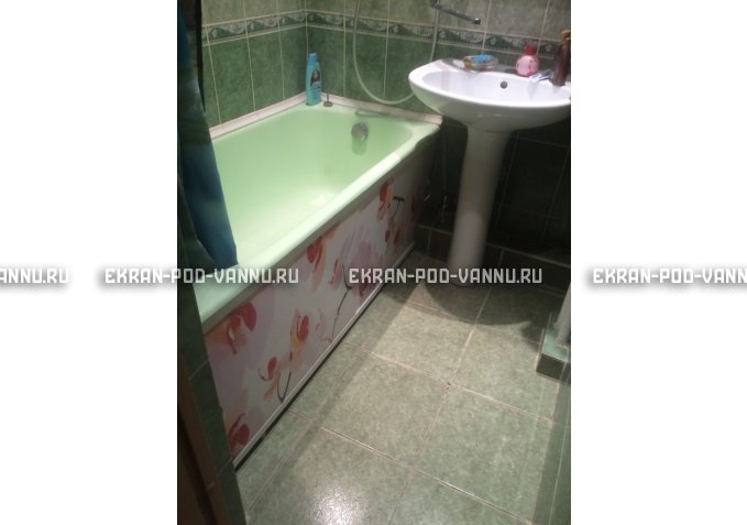 Раздвижной ФОТО экран - Orchid – купить по цене 8500 руб. в интернет-магазине в городе Ярославль картинка 6