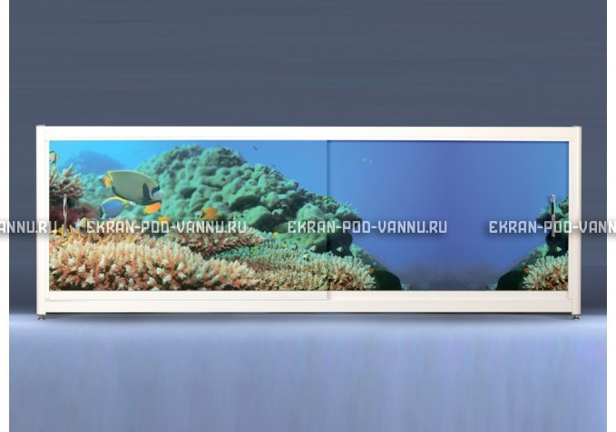 Экран на роликах EUROPLEX Коралловые рифы – купить по цене 12400 руб. в интернет-магазине в городе Ярославль картинка 1